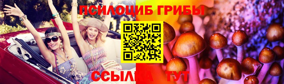 Псилоцибиновые грибы Magic Shrooms Назарово